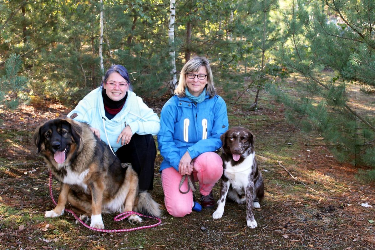 Spielwiese für freilaufende Hunde ist in Arbeit