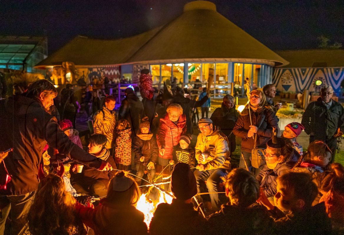 Viel Zuspruch für die Halloweenparty im Zoo