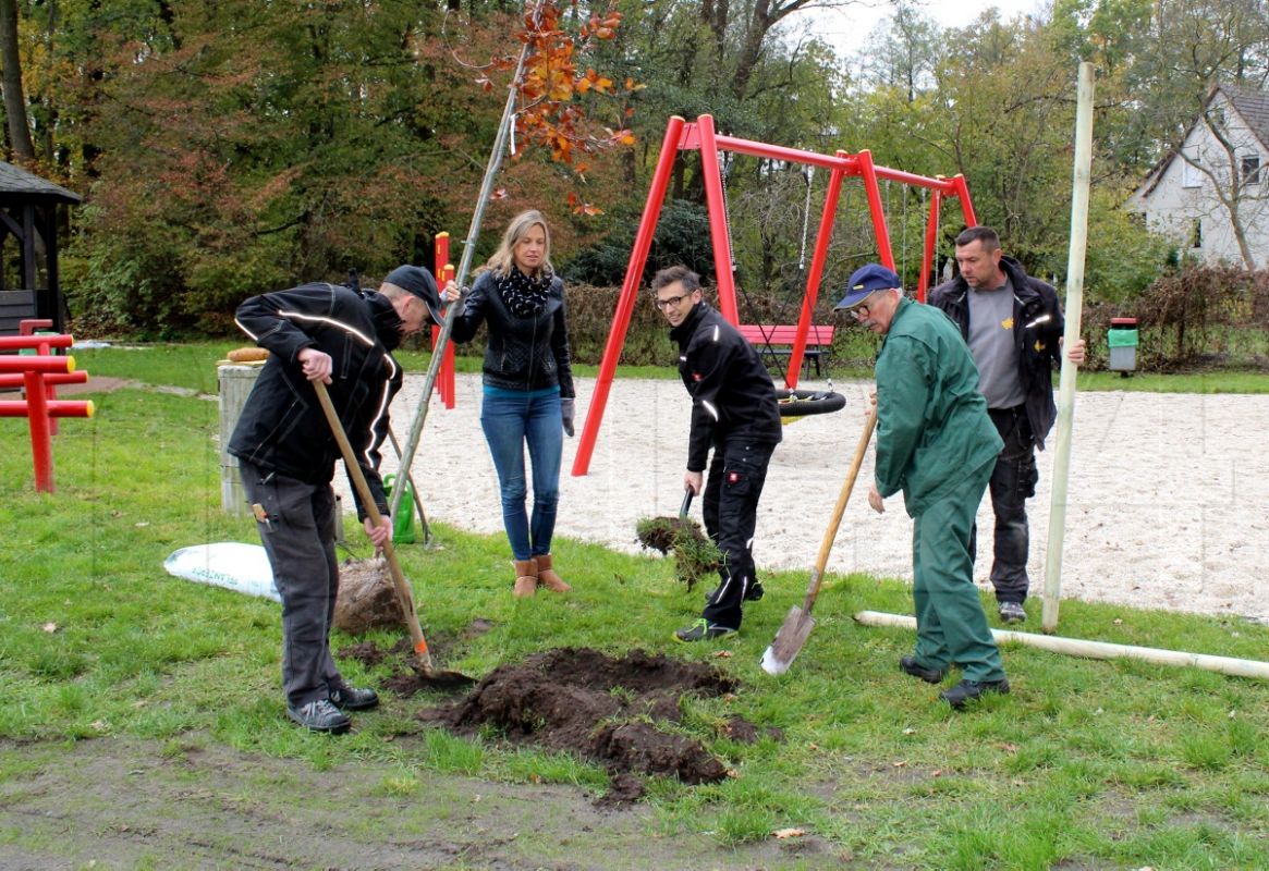 Bäume am Dörgenhausener Spielplatz gepflanzt