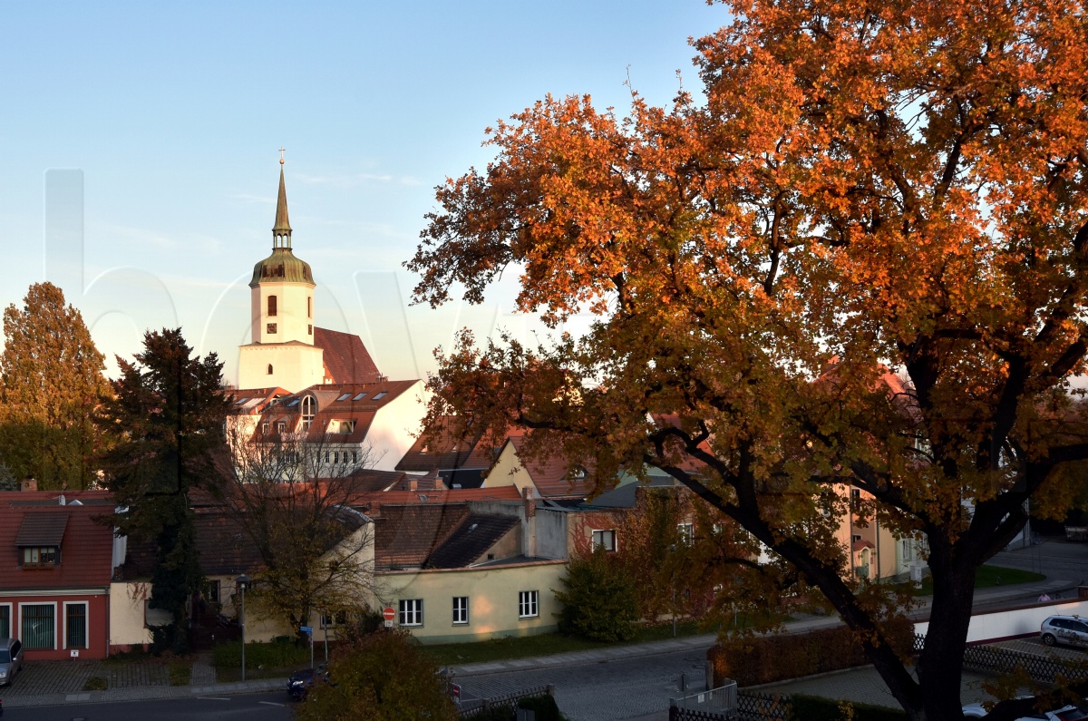 Langer Herbst sorgt für stimmungsvollen Anblick