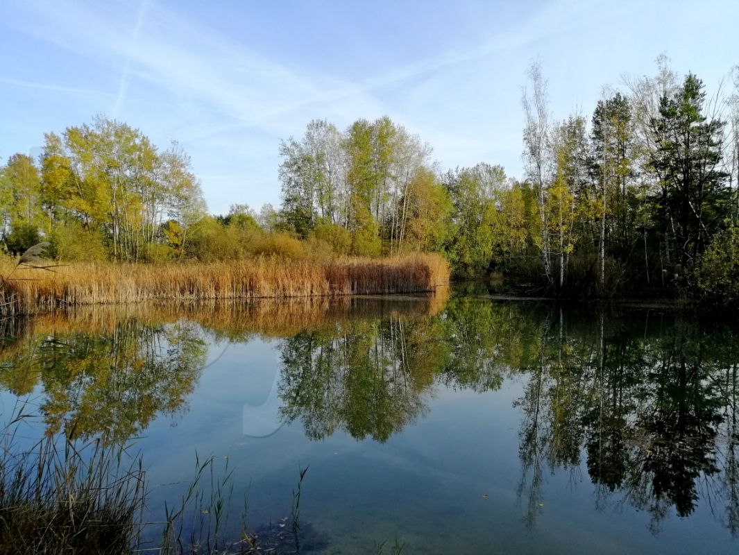 Wald- und Wasser-Idylle in Hoyerswerdas Umland