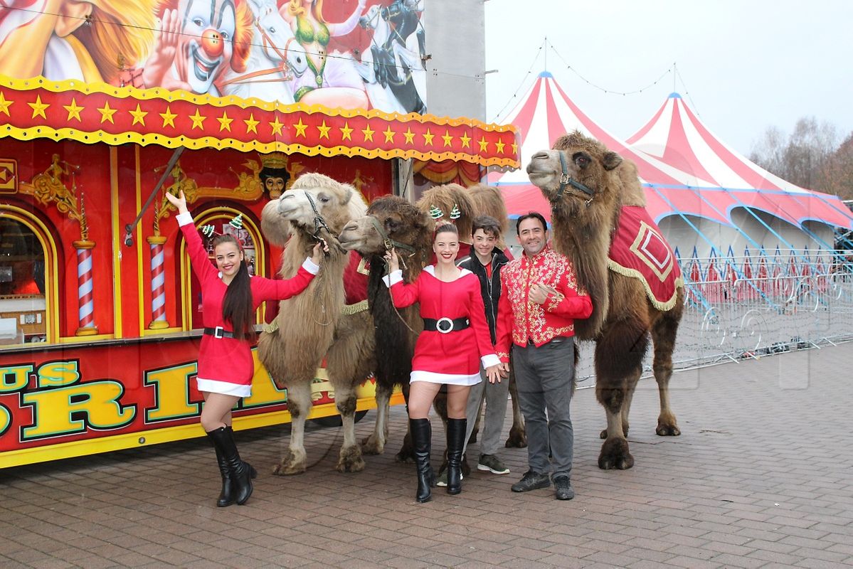 Der „Weihnachtscirkus“ ist wieder in Hoyerswerda