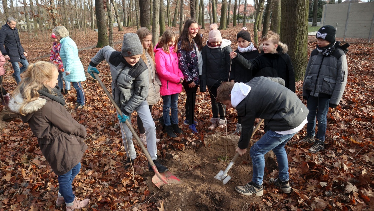 Schüler pflanzen neue Bäume im Lohsaer Park