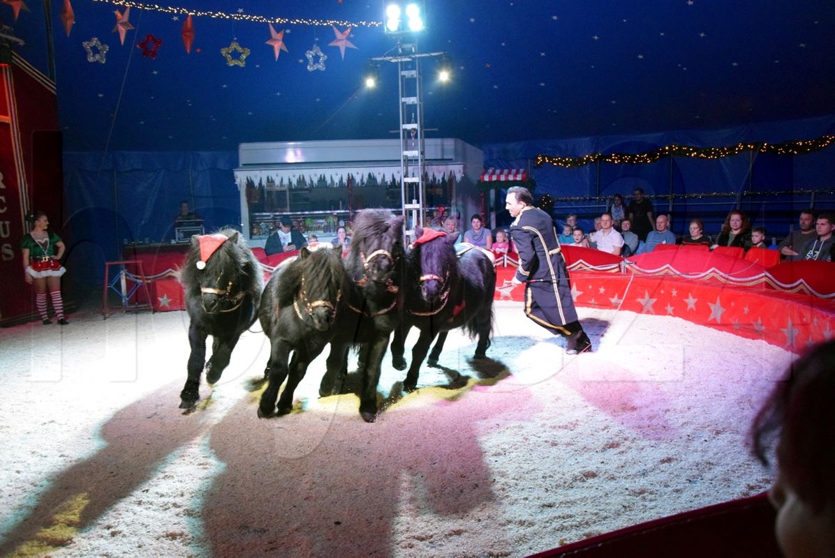 Weihnachtszirkus bis 1. Januar in Hoyerswerda