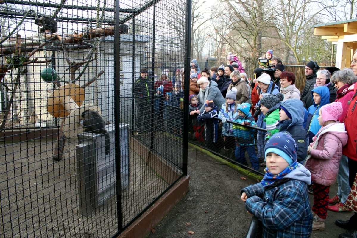 Vorweihnachtliche Bescherung im Hoyerswerdaer Zoo