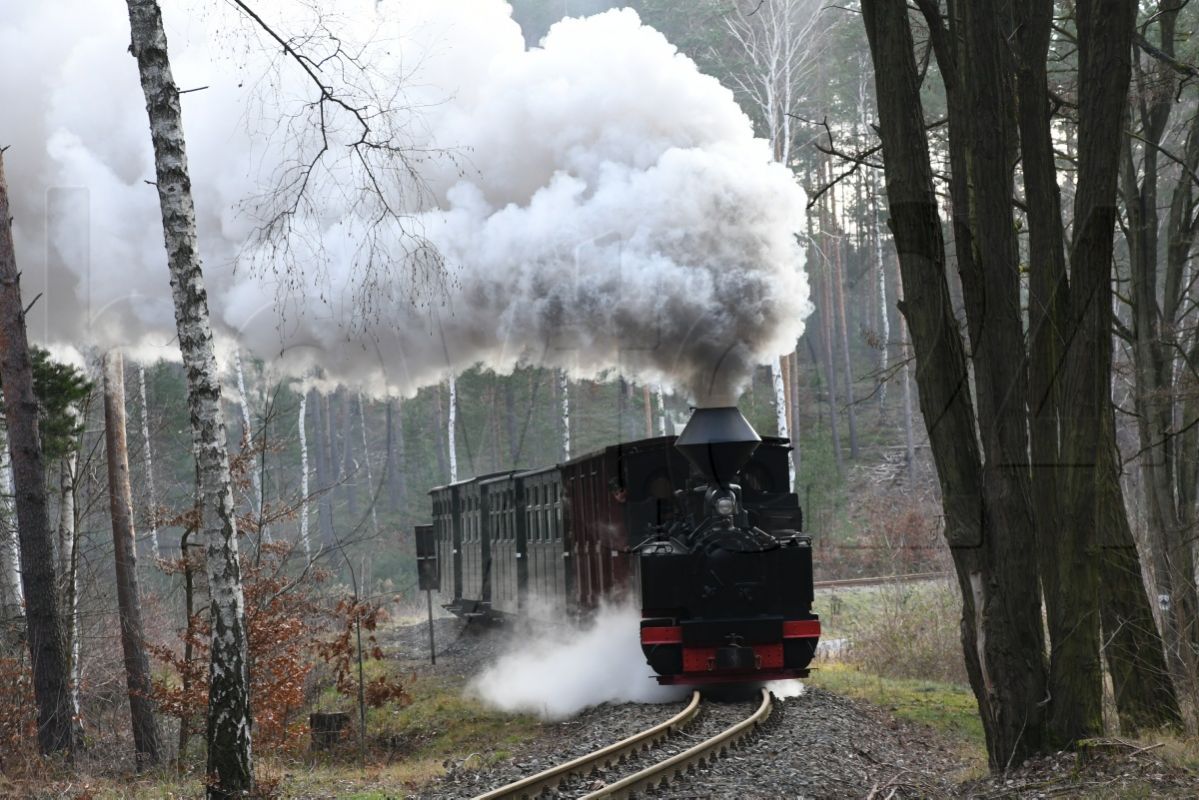 Geburtstagsjahr für die Waldeisenbahn Muskau