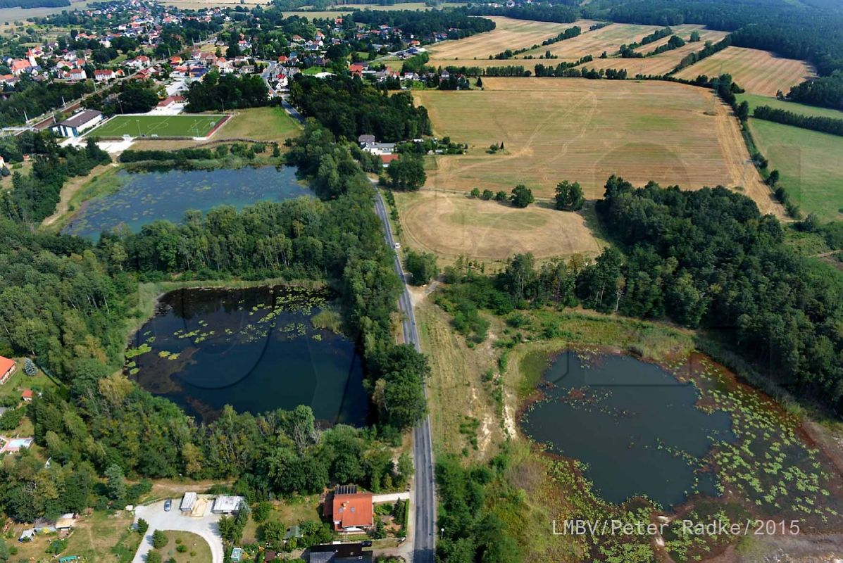 Sanierung an Neumanns Grube startet mit Holzungen