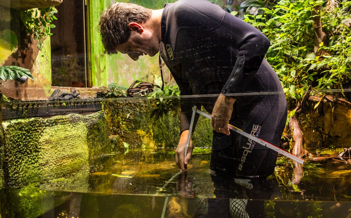 Im Taucher-Outfit im Tropenhaus-Aquarium