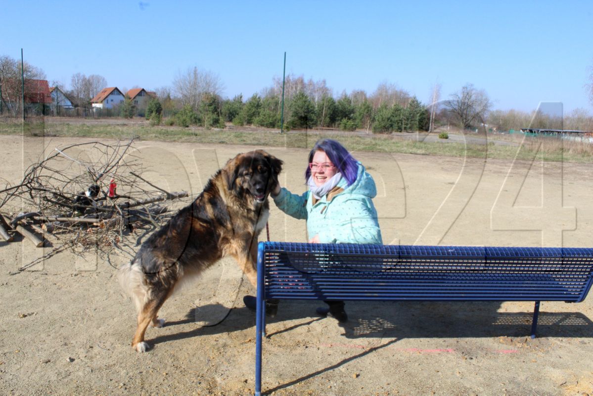 Neue Hunde-Freilauffläche nimmt Gestalt an