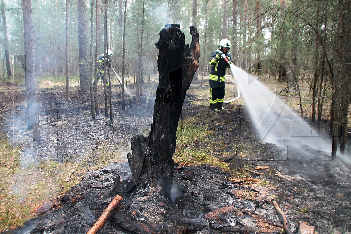 Waldbrand zwischen Hoyerswerda und Nardt