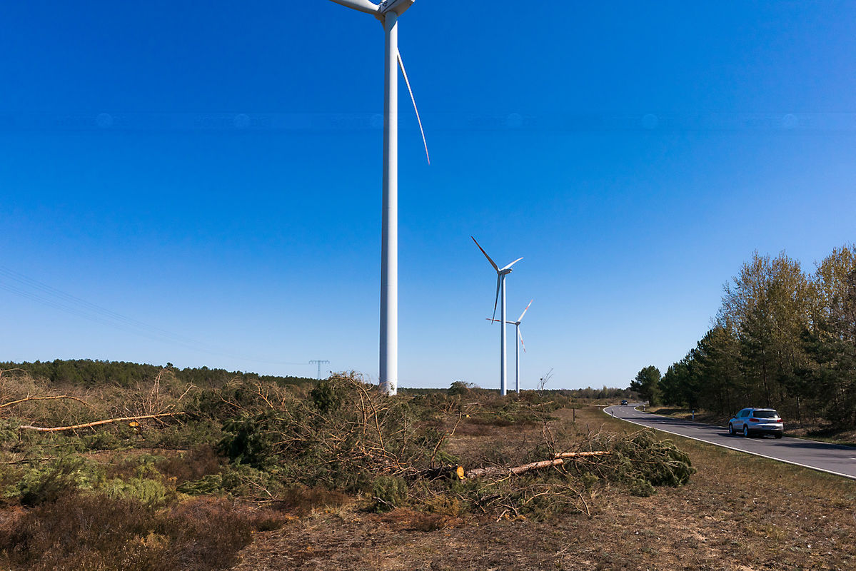 Unter die Windräder sollen Solar-Paneele