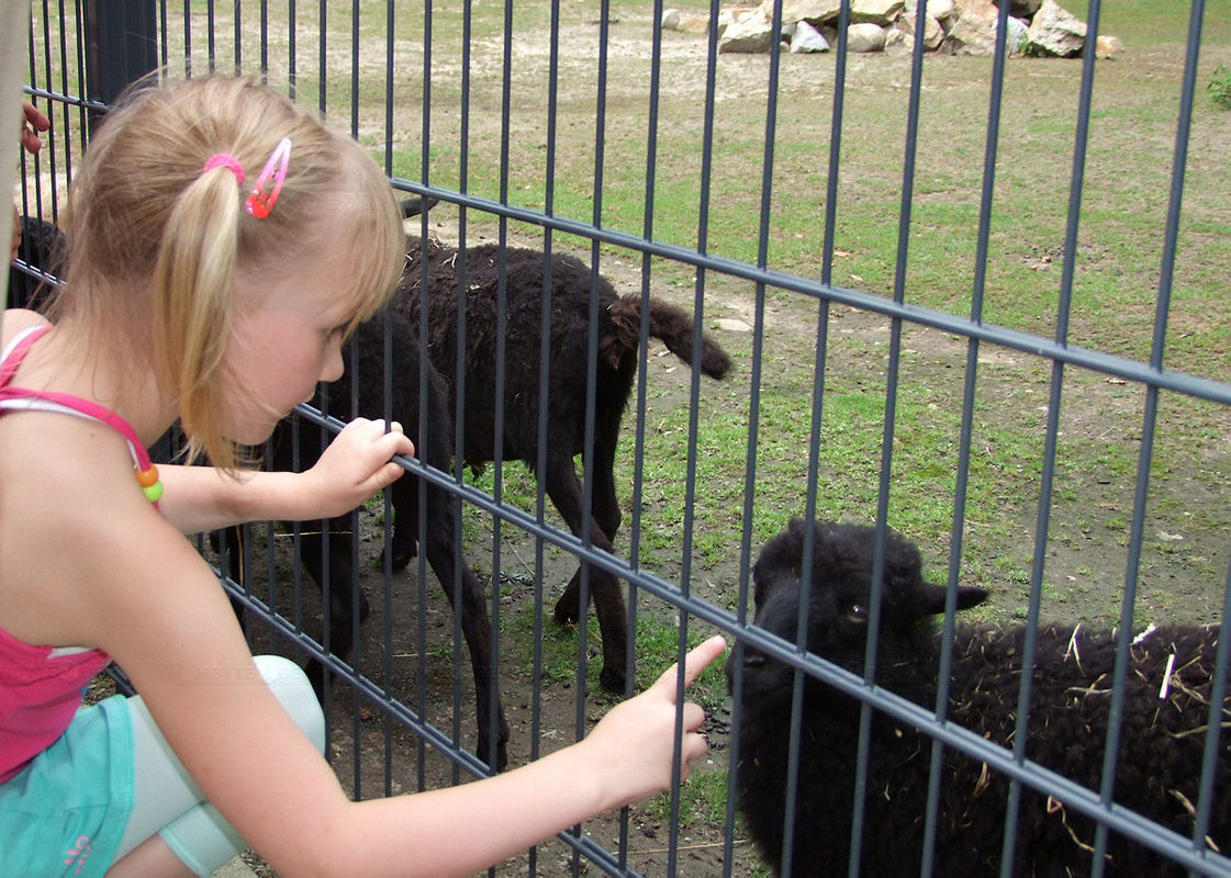 Zoo und Bibliothek wieder offen - mit Einschränkungen