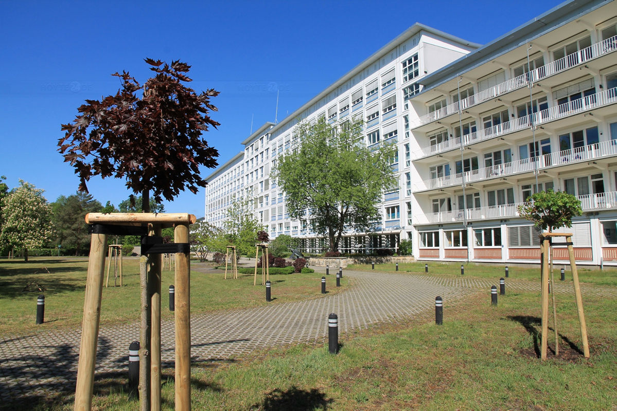 Neue Bäume für den Park des Seenland-Klinikums