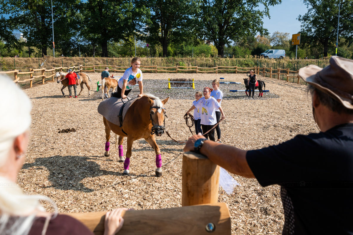 Teilwiedereröffnung der Kinder- und Jugendfarm