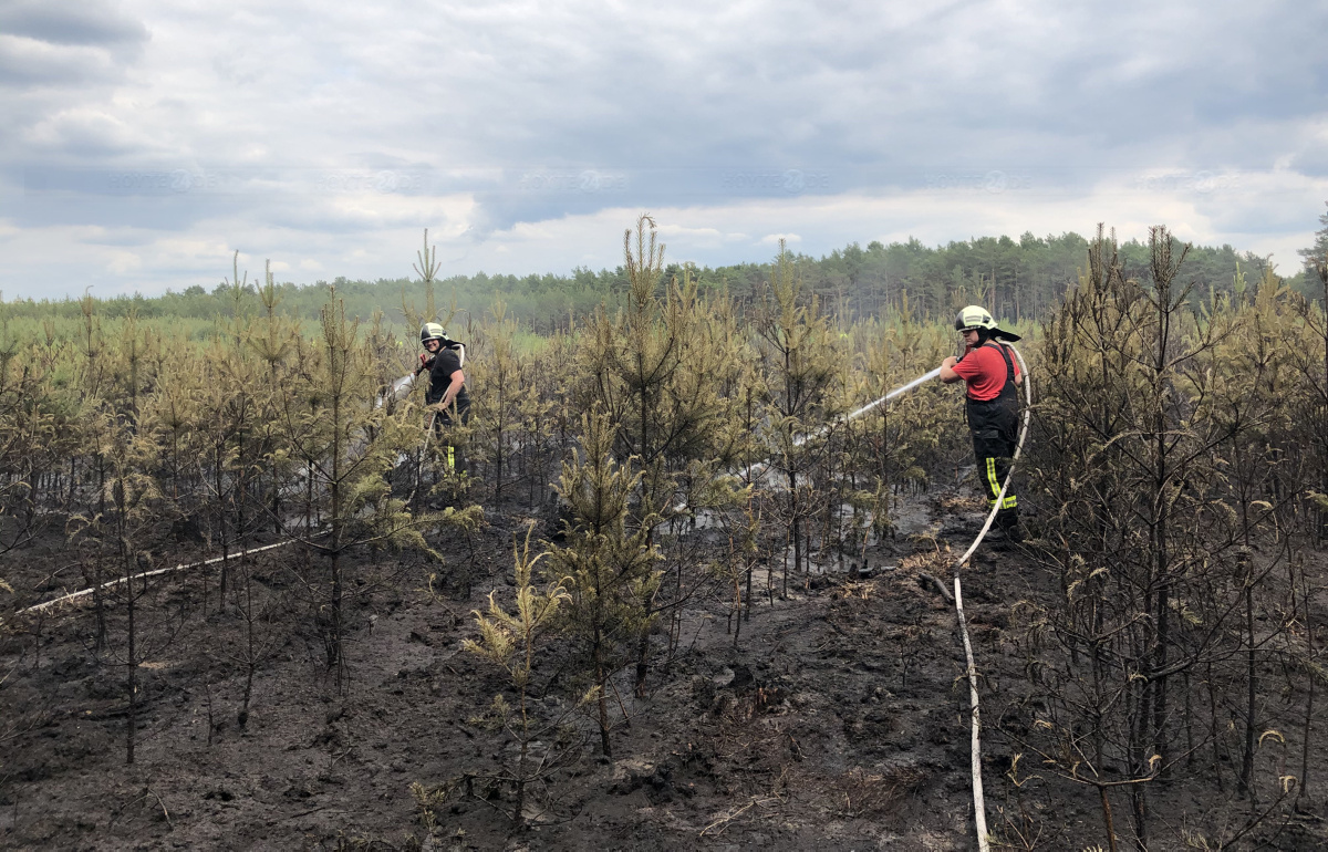 Größerer Waldbrand bei Riegel gelöscht