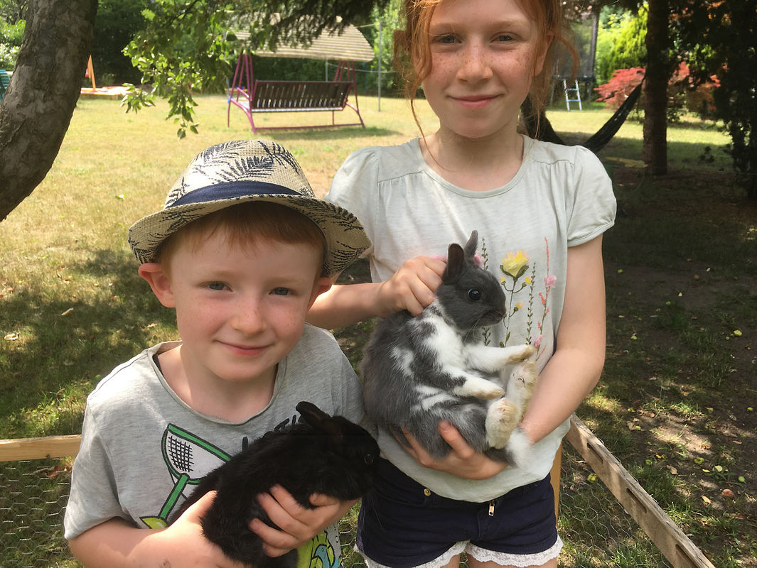 Turbulenzen mit tierischem Familien-Zuwachs