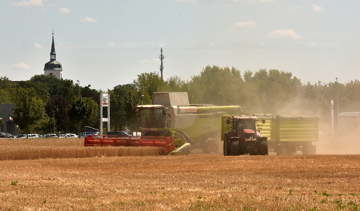 Die erste Sommer-Ernte ist eingebracht