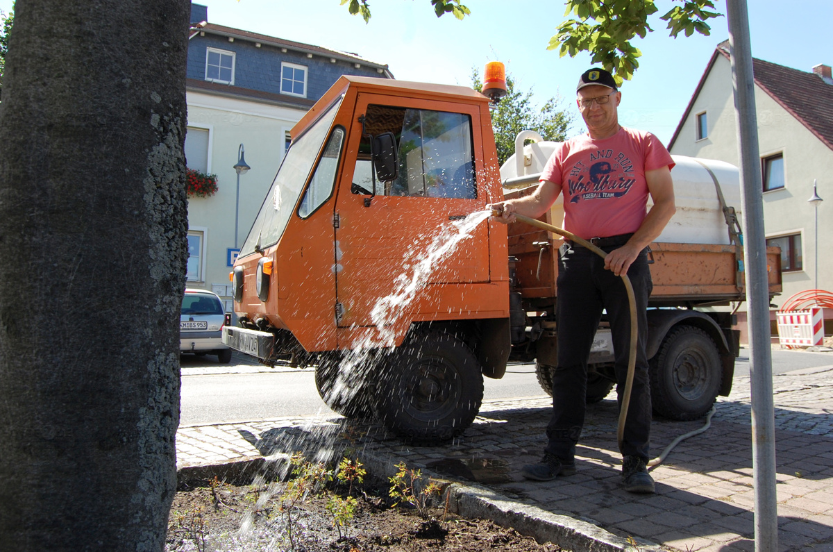 Wenn sommers die Bäume dürsten ...