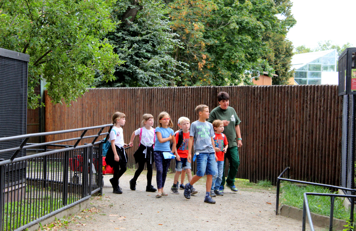 Zoo-Arbeitsgemeinschaften kommen gut an