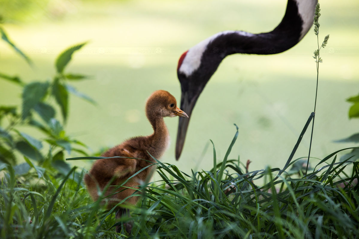 Ein Zoobesuch außerhalb der Öffnungszeiten