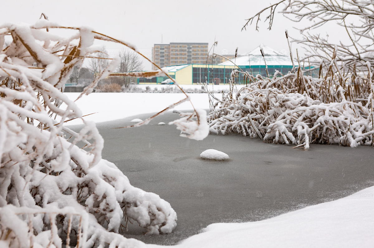 Ein winterlicher Überzug aus dünnem Eis