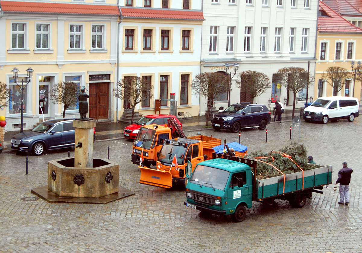 Weihnachtsbaum hat den letzten Weg angetreten