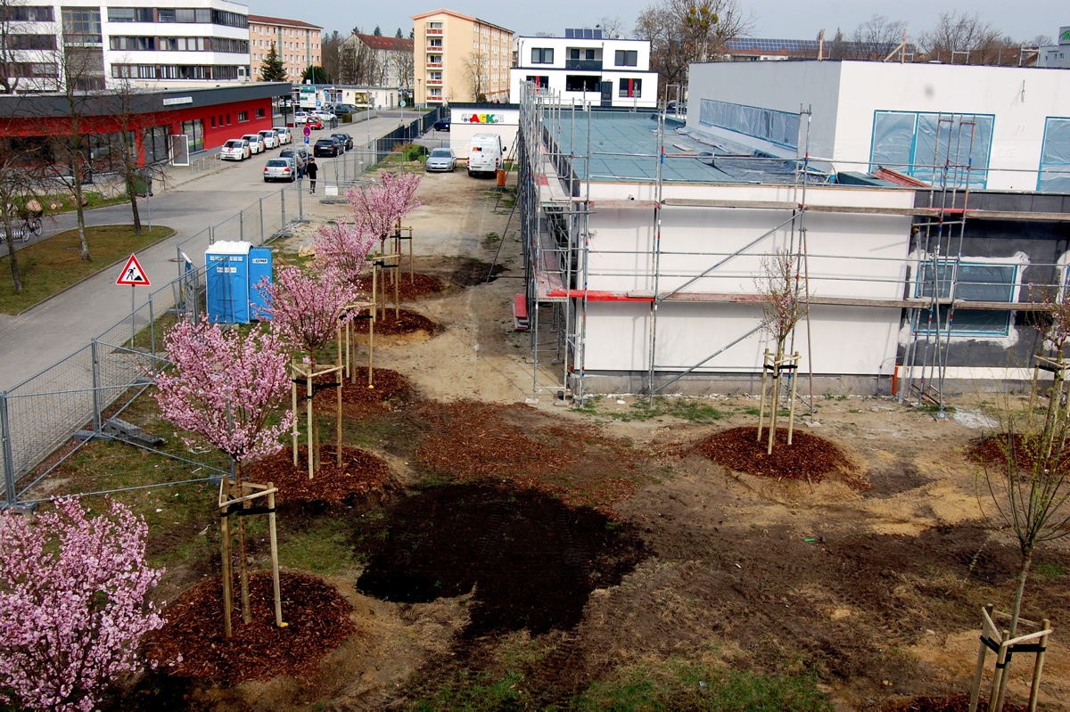 Vor dem künftigen Stoma-Zentrum blüht es schon