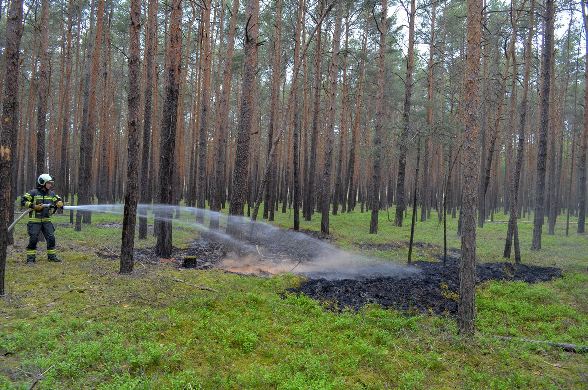 Waldboden-Brand  an der Ostumfahrung