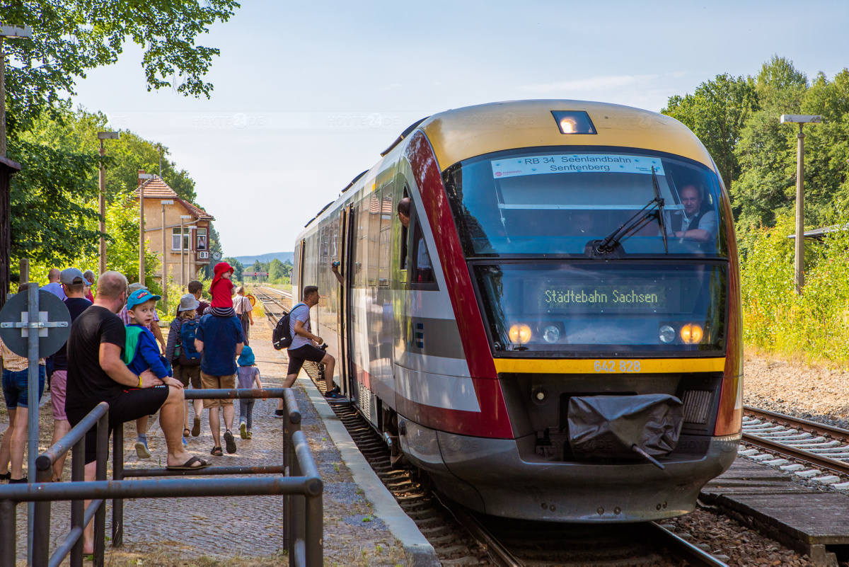 Seenlandbahn ist gut ausgelastet