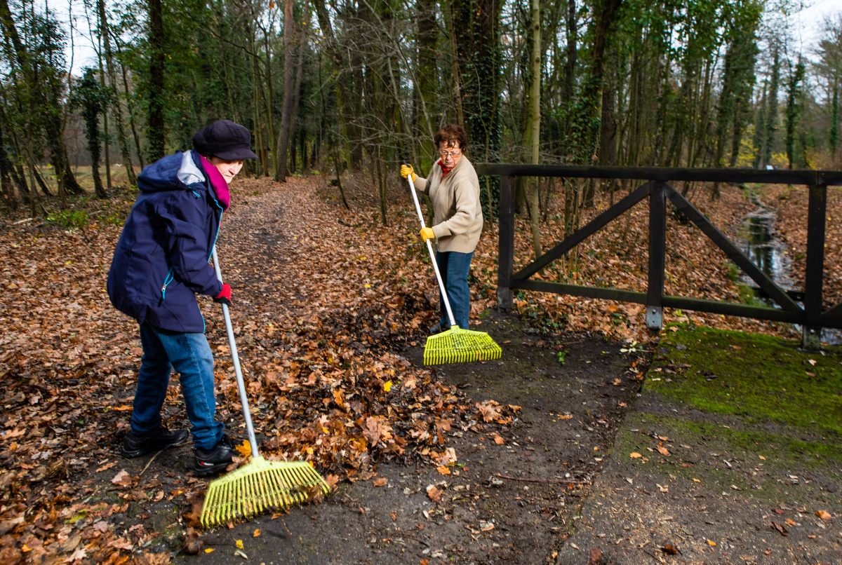 Arbeitseinsatz im Lautaer Stadtpark