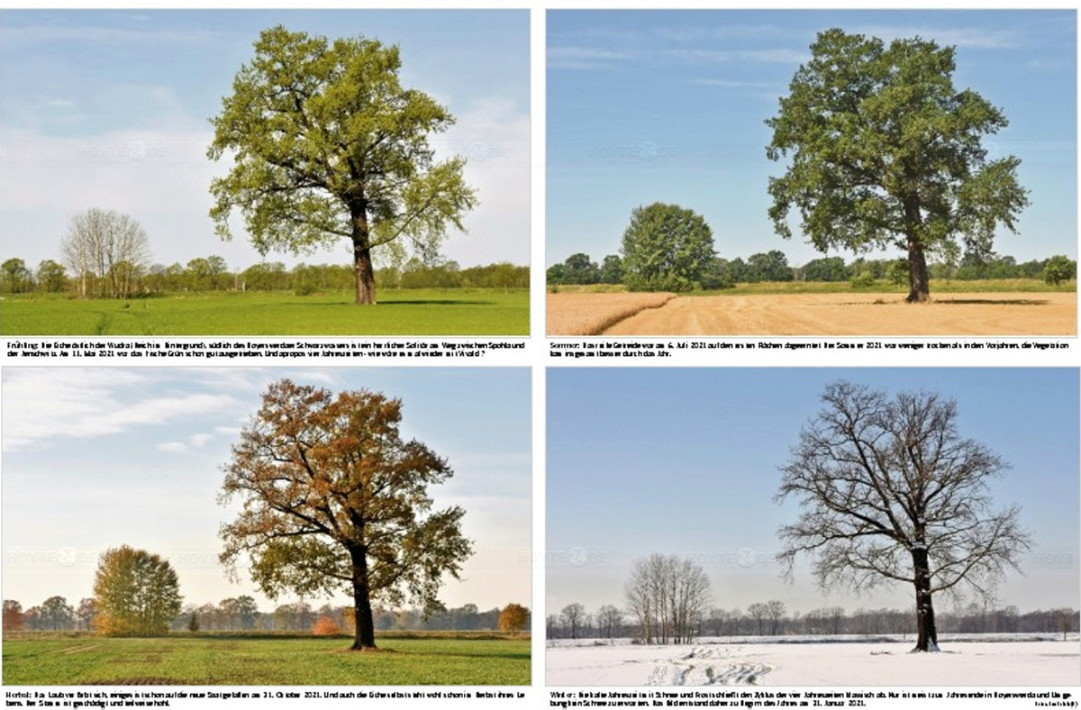Frühling, Sommer, Herbst - und Winter