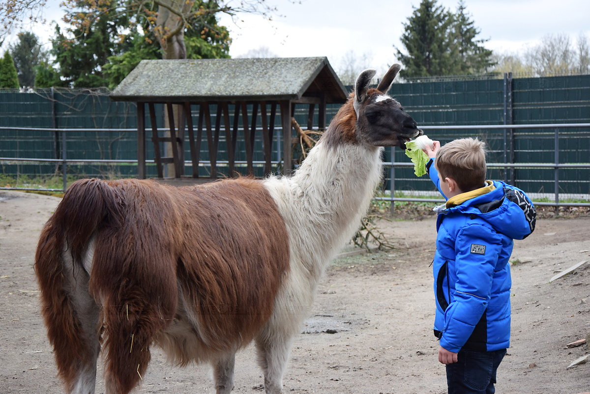 Neue Tiere im Zoo und umgestaltete Anlagen