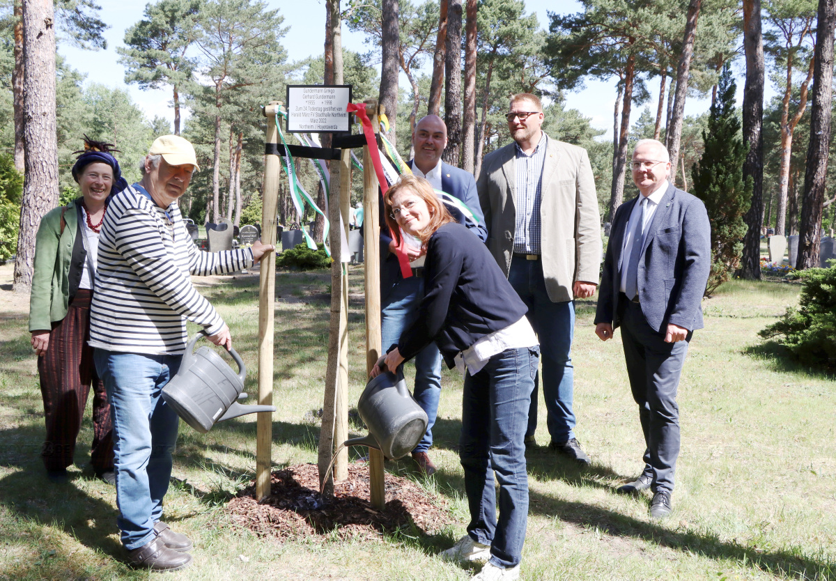 Northeimer spendiert Gundermann-Ginkgo