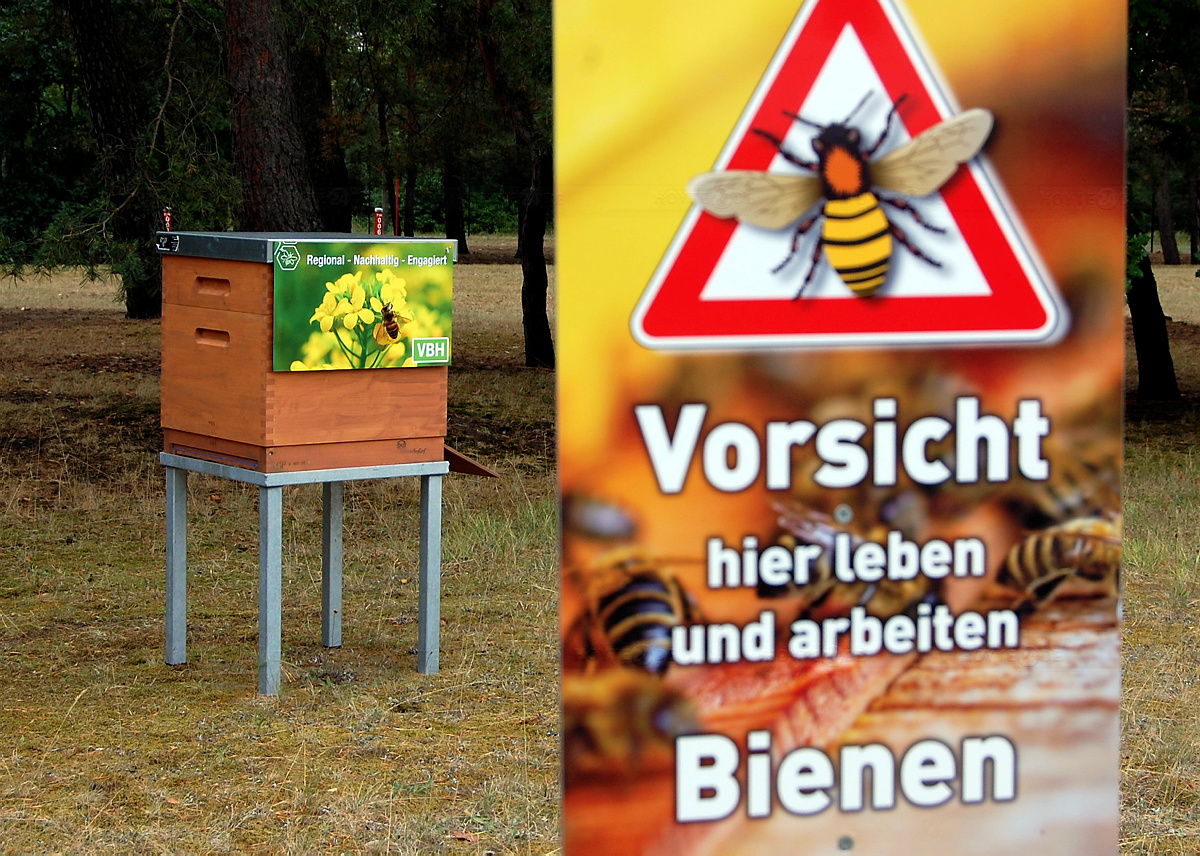 Was passiert eigentlich mit dem VBH-Honig?