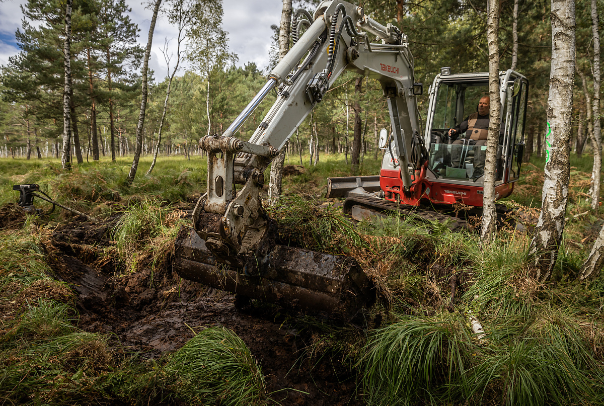 Baggerarbeiten mitten im Dubringer Moor