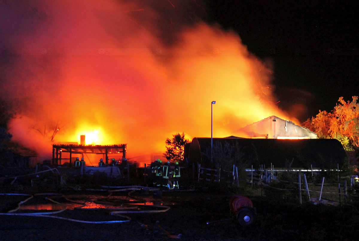 Verheerender Brand in Brischko tötet sechs Pferde