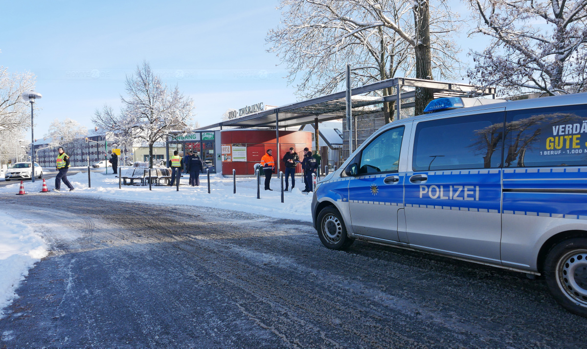 Was ist, wenn im Zoo ein Bär ausbüxt?