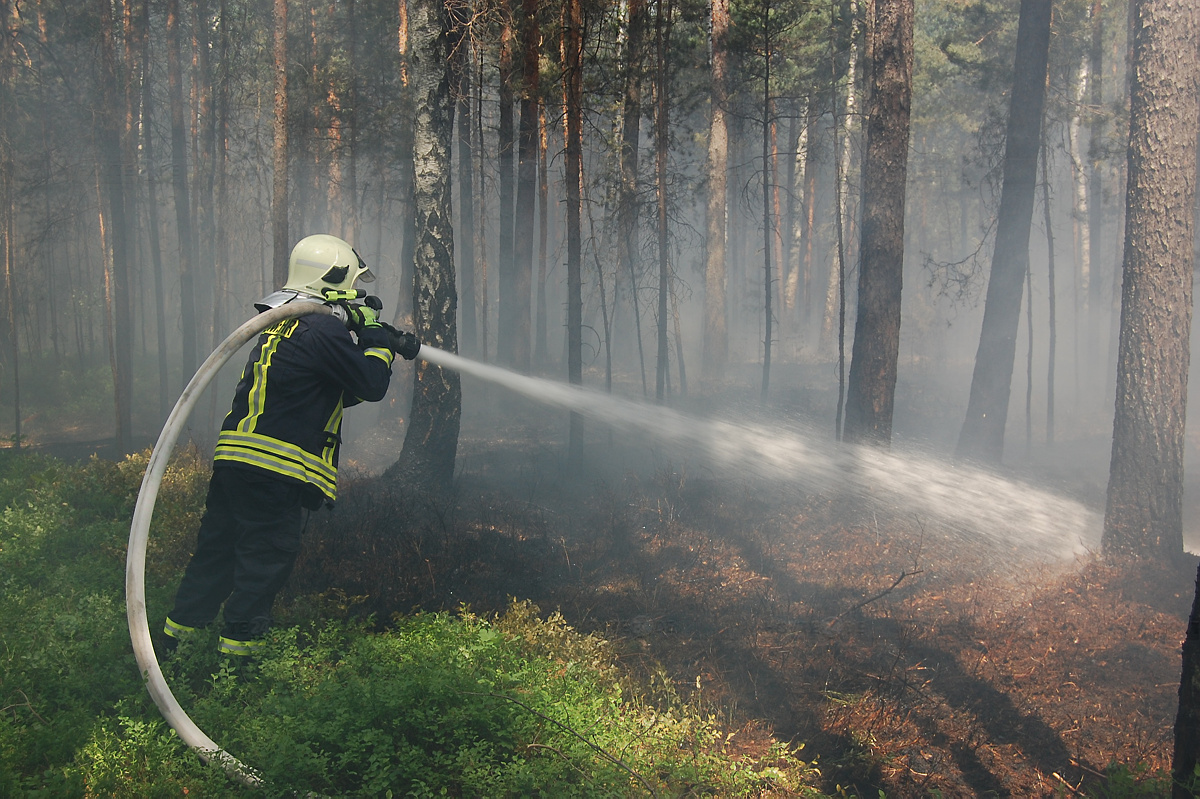 Waldbrandgefahr schon auf Stufe 2