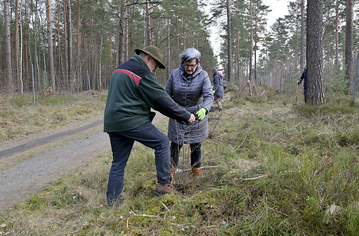 Schwarzkollmer Landfrauen unterstützen den Forst