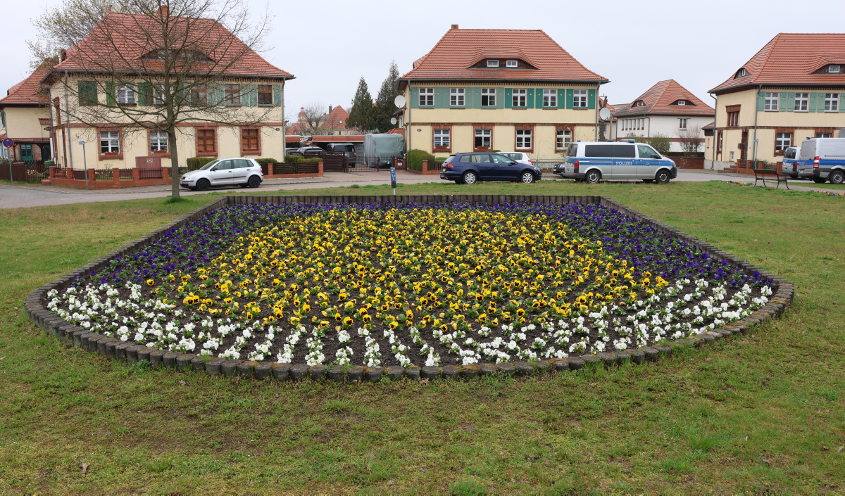 Das blühende Stadtwappen von Lauta