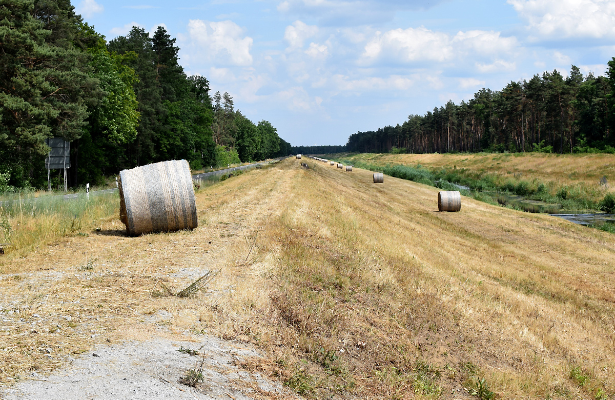 Erst Elsterdeich-Sanierung, dann Radwegbau