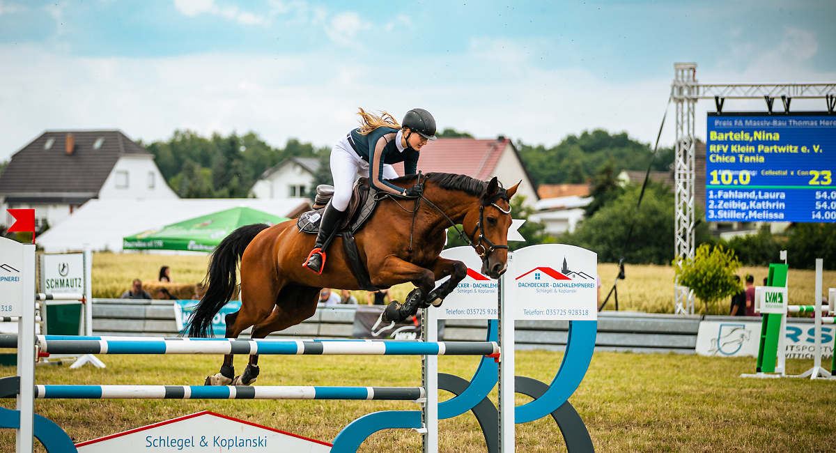 Mehr als 500 Starts beim Reitturnier