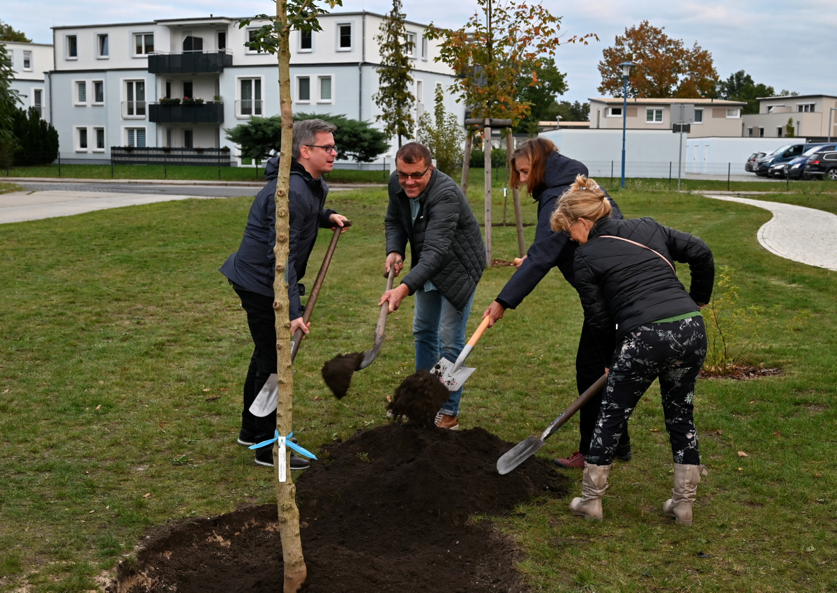 Bäume als Start des &#34;Grünen Saums&#34;