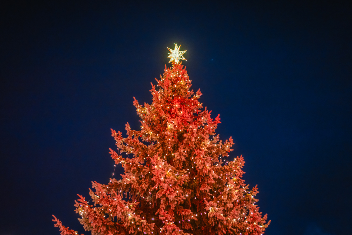 Wir wünschen Ihnen Frohe Weihnachten!