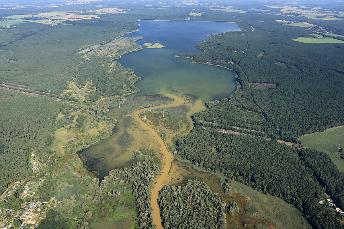 Die Spree erneut in den Fokus gerückt