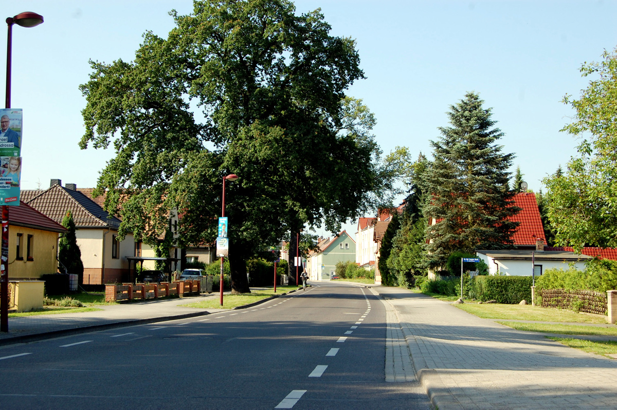 Kolpingstraße bekommt neue Deckschicht