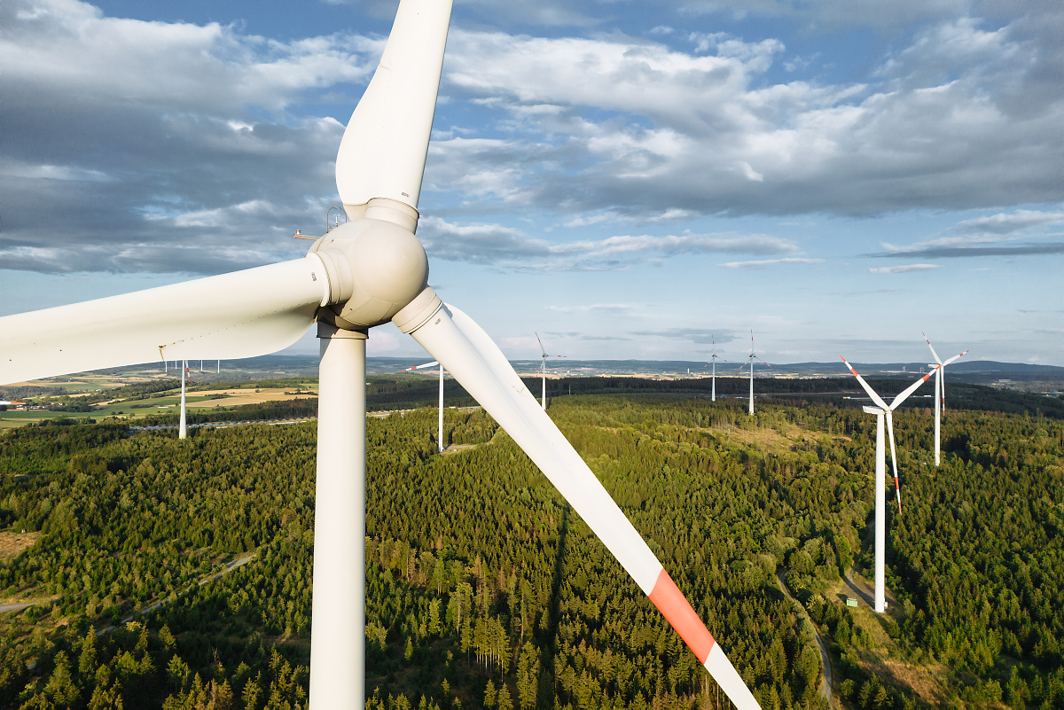 Knappe Mehrheit für Windräder im Landeswald