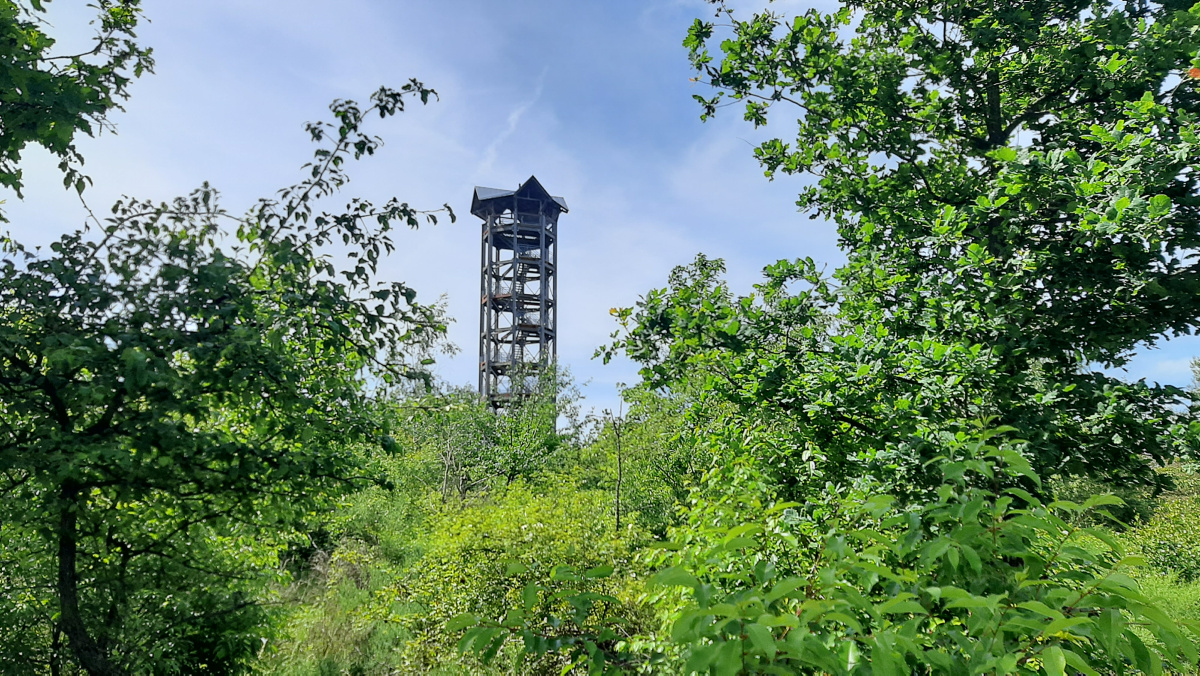 Wo man die Lausitz von oben begucken kann