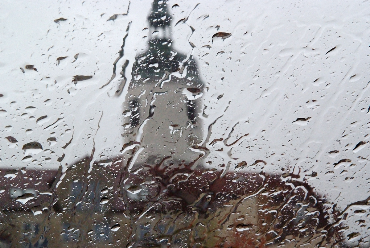 Wetterfrösche sagen jede Menge Regen voraus