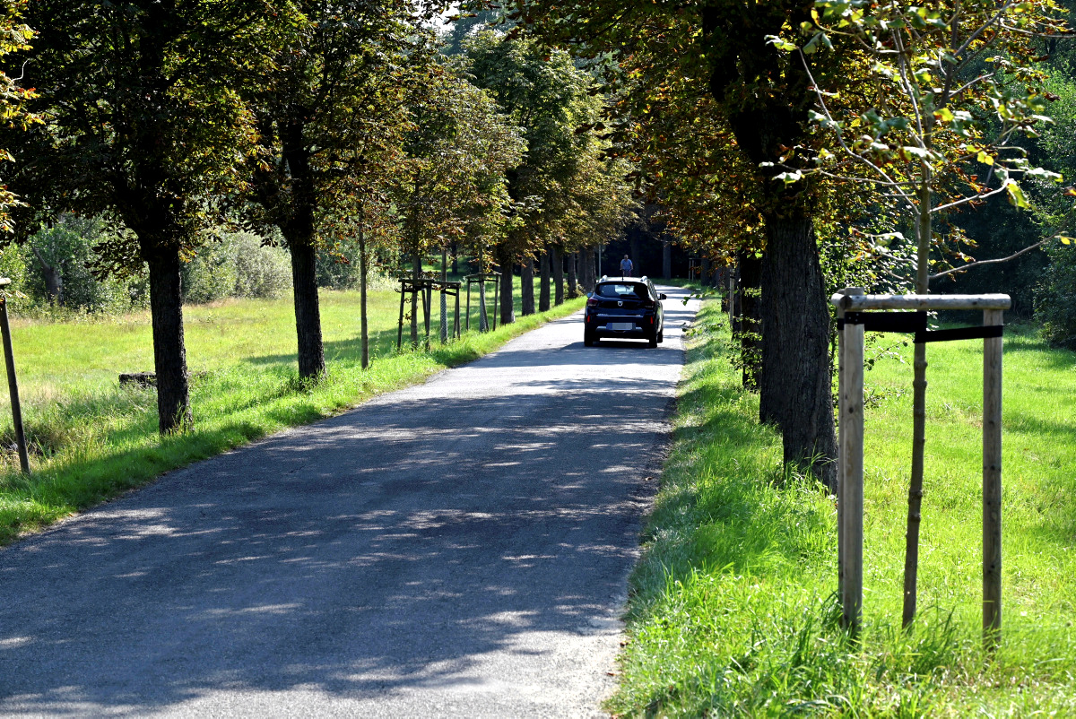 Bloß 67 Antworten zur Rathausallee